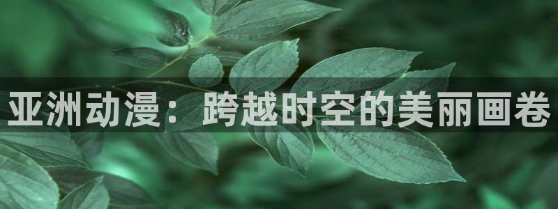 漫画大全里番：亚洲动漫：跨越时空的美丽画卷
