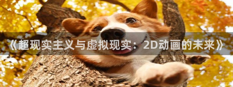 二次元里番动漫：《超现实主义与虚拟现实：2D动画的未来》