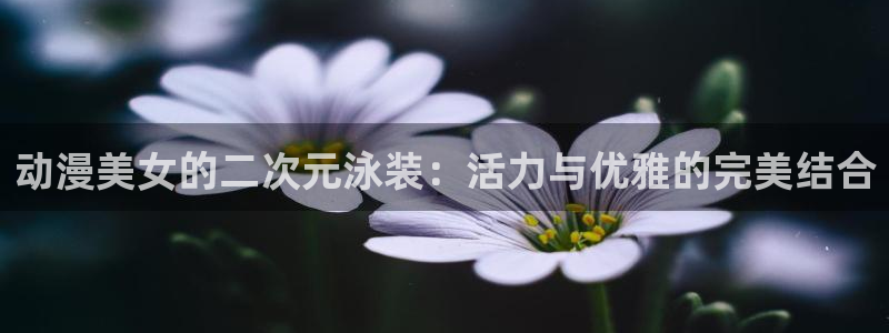 里番动漫库：动漫美女的二次元泳装：活力与优雅的完美结合