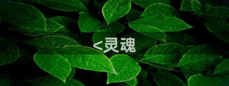 acg里番同人漫画：<灵魂