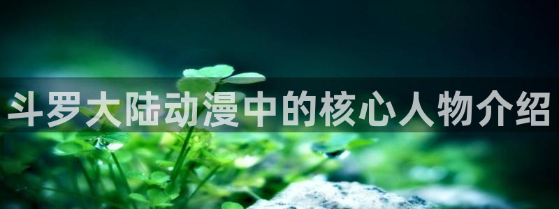 色里番动漫：斗罗大陆动漫中的核心人物介绍