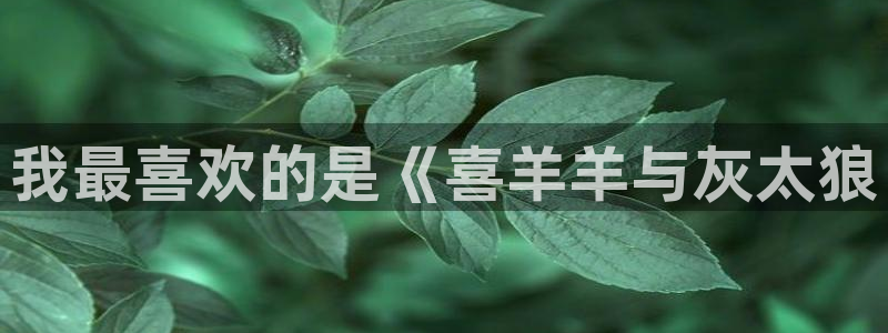 最新里番动漫大全：我最喜欢的是《喜羊羊与灰太狼