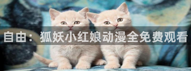 肉里番漫画：自由：狐妖小红娘动漫全免费观看